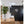 Load image into Gallery viewer, Lion Mask