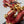 Load image into Gallery viewer, Dragon Red Limited Edition