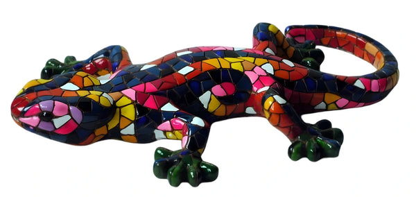 Classic Salamander Muticolor All measurements