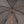 Load image into Gallery viewer, Warthog Tusk Camouflage Umbrella