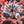 Load image into Gallery viewer, Umbrella Rose Rosse