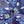 Load image into Gallery viewer, Blue Starfish Umbrella