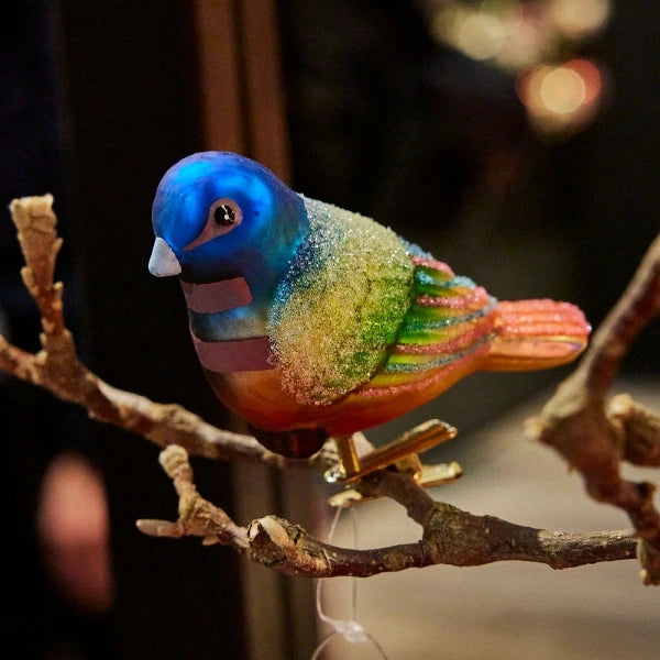 Clamp bird Lori Multicoloured