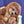 Load image into Gallery viewer, Sloth on armchair
