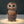 Load image into Gallery viewer, African Cape Owl