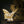 Load image into Gallery viewer, Aves Gold Butterfly