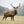 Load image into Gallery viewer, Deer Antler Umbrella