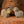 Load image into Gallery viewer, Mini Sheep & Mini Goat Set