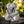 Load image into Gallery viewer, Koala With Baby