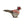 Load image into Gallery viewer, Pheasant