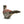 Load image into Gallery viewer, Pheasant