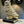 Load image into Gallery viewer, Owl On Book