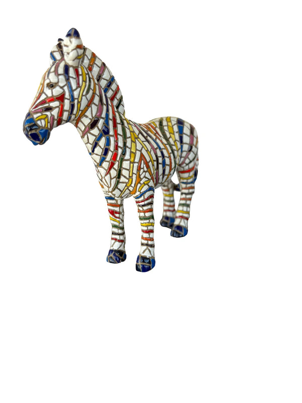 Classic Regenboog Zebra