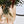 Load image into Gallery viewer, Crackle Vase Amber/Flamingo
