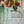Load image into Gallery viewer, Crackle Vase Jade Green