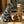 Load image into Gallery viewer, Striped Cats Set