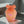 Load image into Gallery viewer, Glass Vase lips Orange