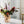 Load image into Gallery viewer, Crackle Vase Amber/Flamingo