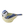 Load image into Gallery viewer, Garden Blue Tit