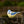 Load image into Gallery viewer, Garden Blue Tit