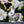 Load image into Gallery viewer, Springtime Bunny