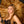 Load image into Gallery viewer, Golden Tiger Umbrella