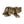 Load image into Gallery viewer, Tiger