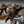 Load image into Gallery viewer, African Elephant