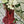 Load image into Gallery viewer, Rocky Baroque Vase Hot Pink