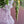 Load image into Gallery viewer, Rocky Baroque Vase Cool Pink
