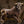 Load image into Gallery viewer, Brave Bull