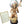 Load image into Gallery viewer, Indian Chief
