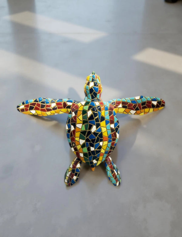 Classic Small Aquatic Turtle