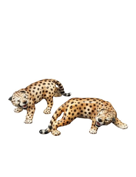 Cheetah Pair