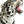 Load image into Gallery viewer, Irbis