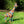Load image into Gallery viewer, Mosaic Flower Giraffe