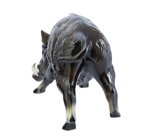 Boar