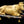 Load image into Gallery viewer, Cow