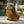 Load image into Gallery viewer, Lop Rabbit