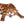 Load image into Gallery viewer, Jaguar stalking