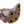 Load image into Gallery viewer, Ecstatic Harlequin
