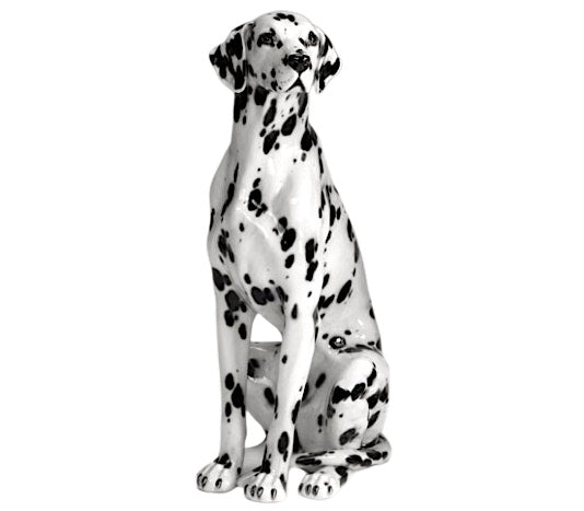 Dalmatian