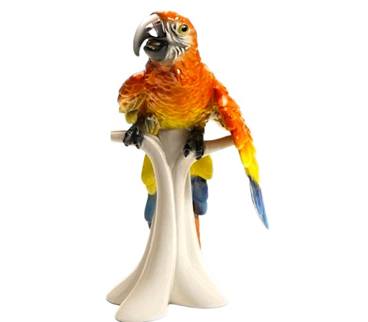 Macaw Parrot