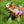 Load image into Gallery viewer, Flowers Elephant All Measurements
