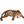 Load image into Gallery viewer, Jaguar stalking