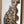 Load image into Gallery viewer, Clouded Leopard