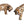 Load image into Gallery viewer, Cheetah Pair