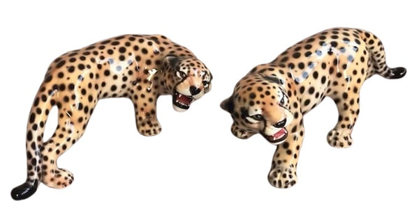 Cheetah Pair