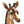 Load image into Gallery viewer, Giraffe