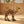 Load image into Gallery viewer, Classic Mosaic Camel